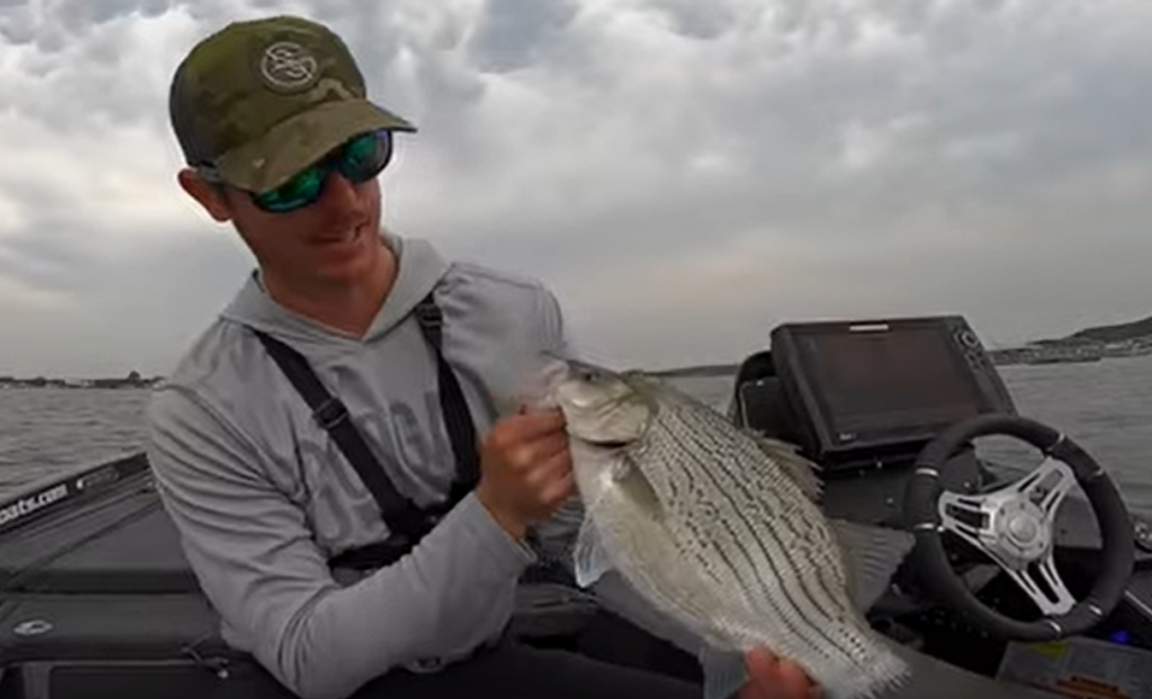 Fishing The White Bass Spawn How To Catch And Cook One Of America's