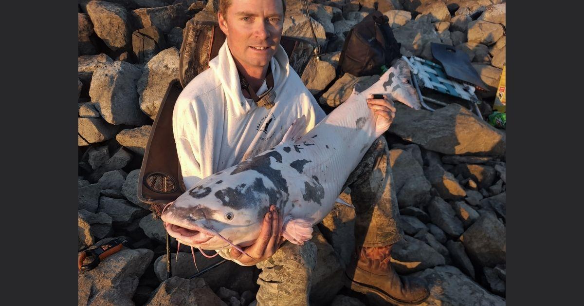 I Was Like Holy Cow!" Said The Angler Who Pulled This Ultra Rare Catfish From The Mississippi River
