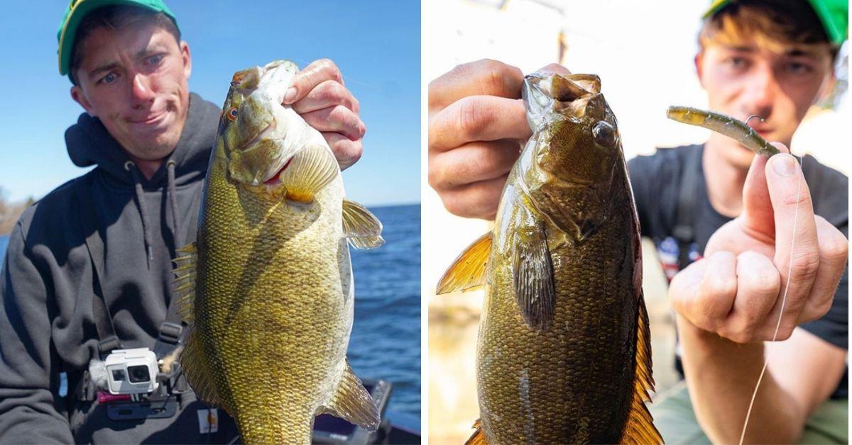 Northern And Southern Smallmouth Bass - Is There A Difference?