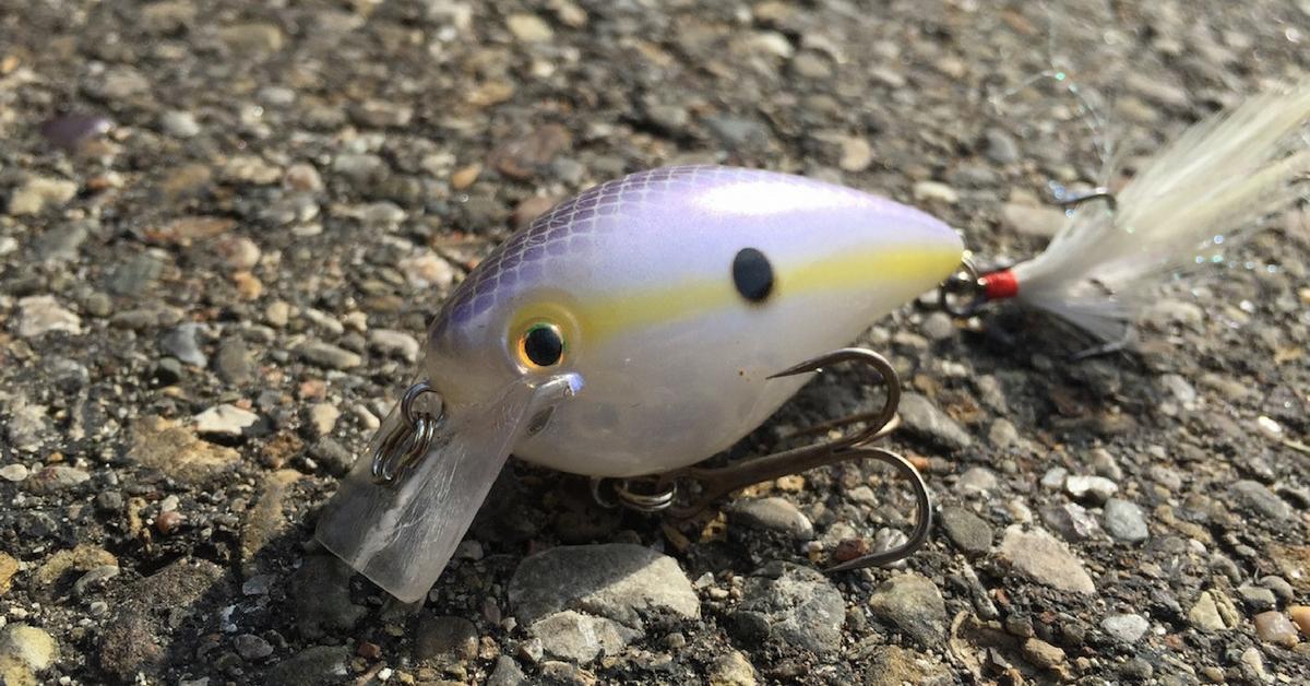 Shallow Cranking Tips All Anglers Should Know