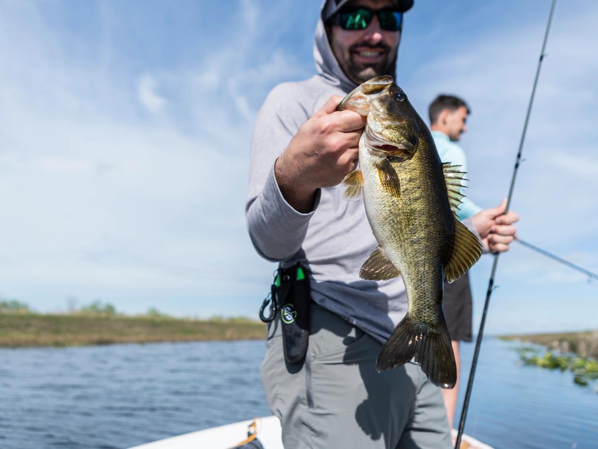 5 Bass Lures You Can Rely on All Summer Long