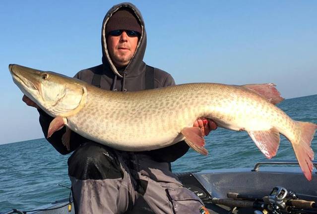 fishing for muskie with live bait