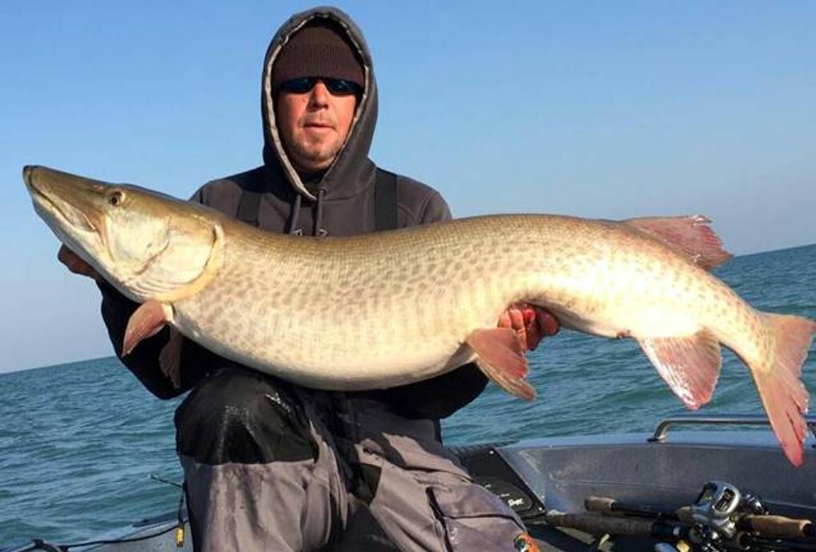 Musky Fishing 101: All You Need To Know About The Fish Of 10,000 Casts