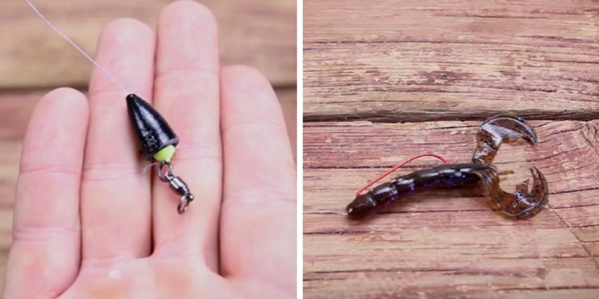 Know Your Fishing Rig: When To Throw A Carolina Rig Vs Texas Rig