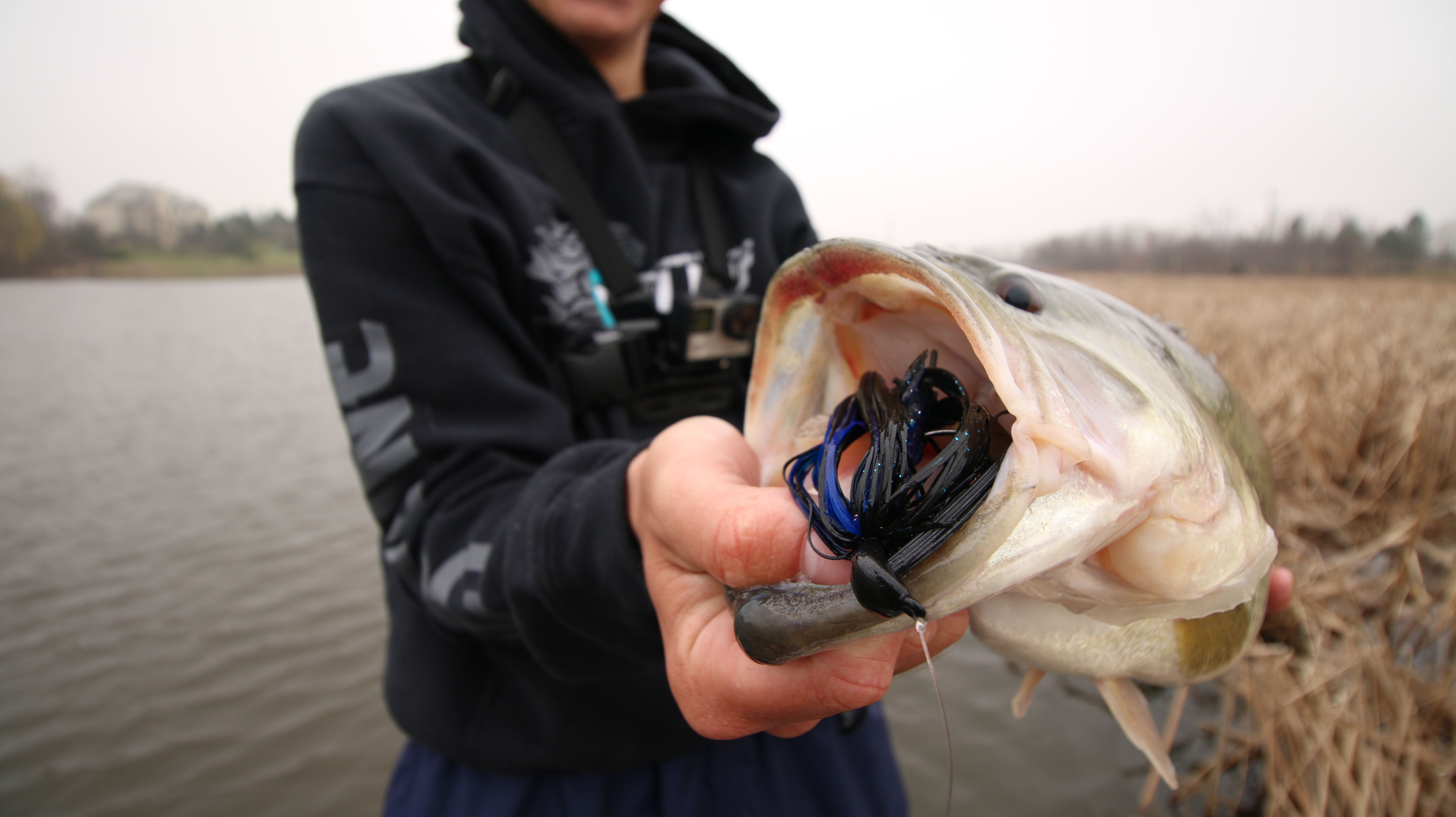 Intro to Bass Jigs: Types of Jigs & How to Use Them - Florida Sportsman