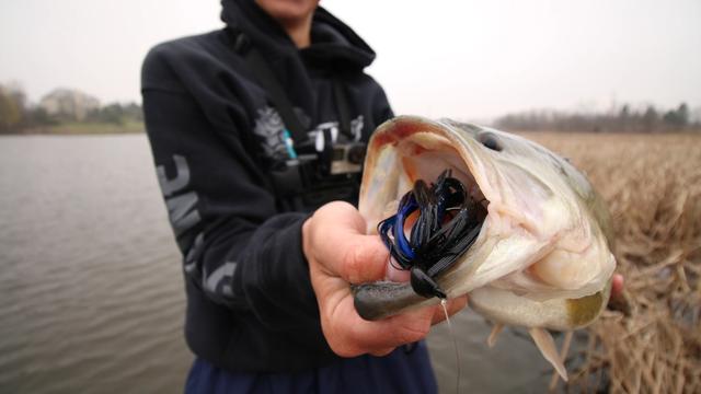 Jig Fishing 101: When To Use 6 Types Of Jigs