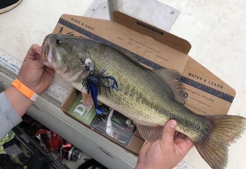 Bass Fishing After The Rain How To Target Post Frontal Bass