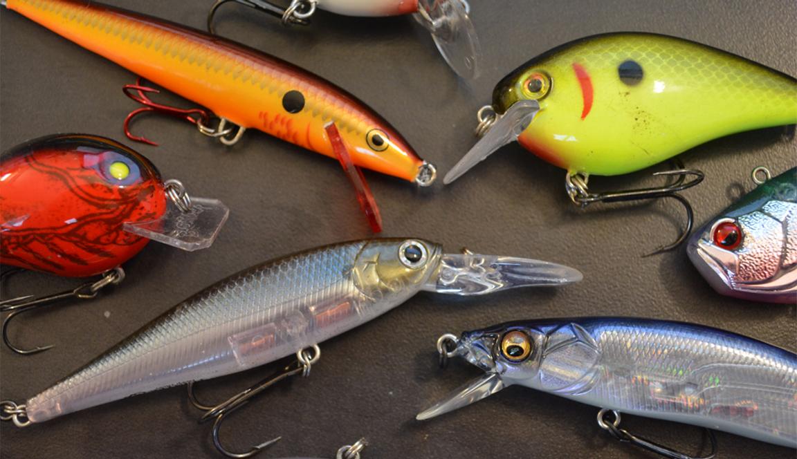 10 Bass Fishing Lures Every Angler Should Have in Their Tackle Box