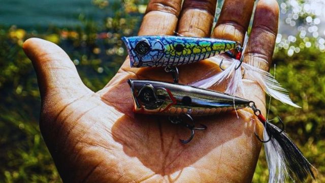 3 Reasons You Should Be Throwing Topwater Poppers Right Now