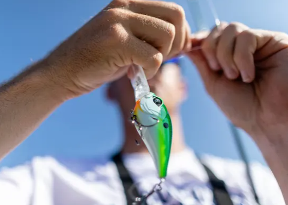 Everything You Ever Wanted To Know About Crankbaits