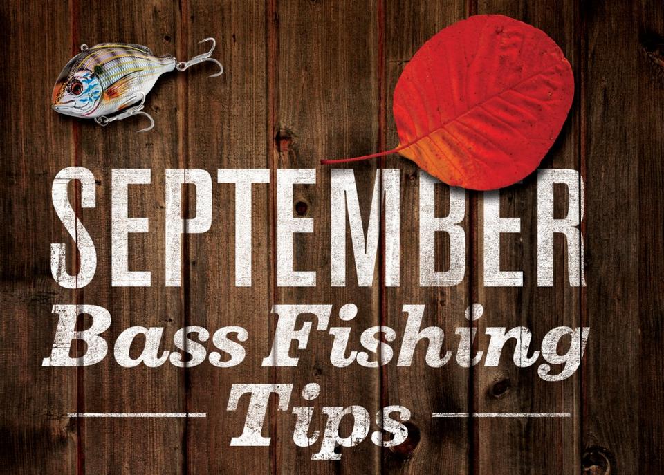 September Bass Fishing Tips