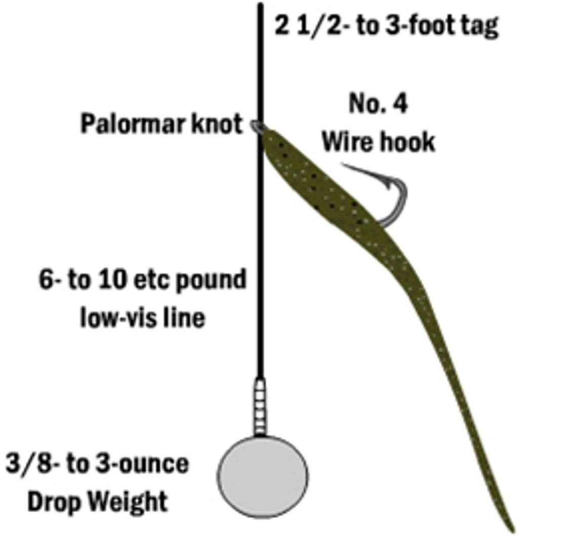 Drop Shot Rig 101 Unraveling The Mystery Of Drop Shot Fishing