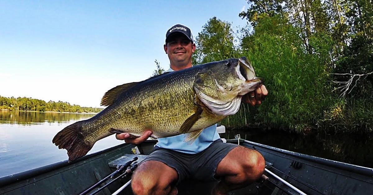 10 Questions With Bama Bass