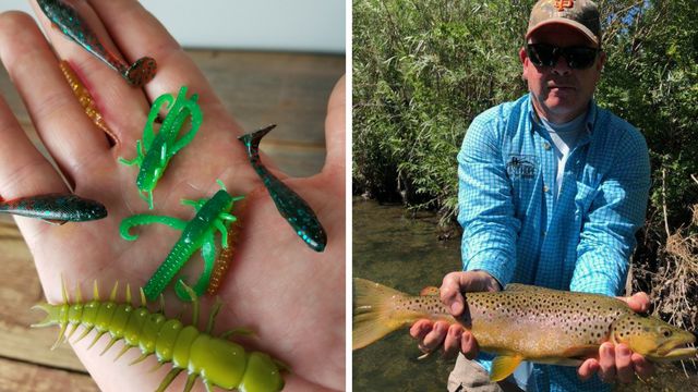 Soft Plastics For Trout: How To Imitate Bugs