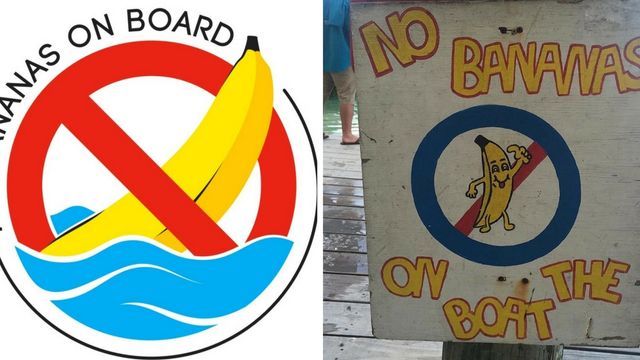 4 Possible Reasons Bananas Are Bad Luck On Fishing Boats