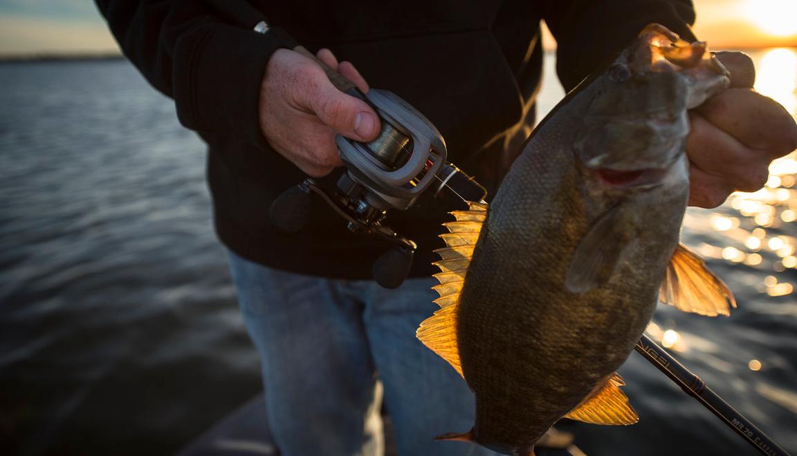 Gear Ratios 101 Breaking Down And Explaining Fishing Reels
