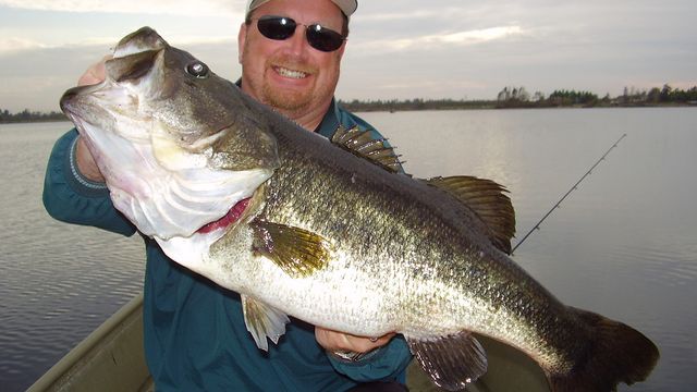 The 7 Best Ways To Catch Deep Water Bass