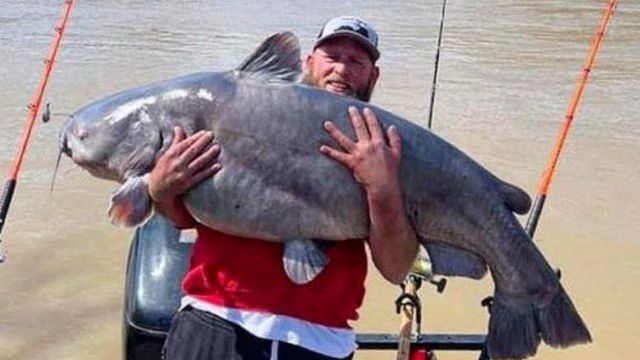 Kentucky Man Catches 95 Pound Catfish From The Ohio River
