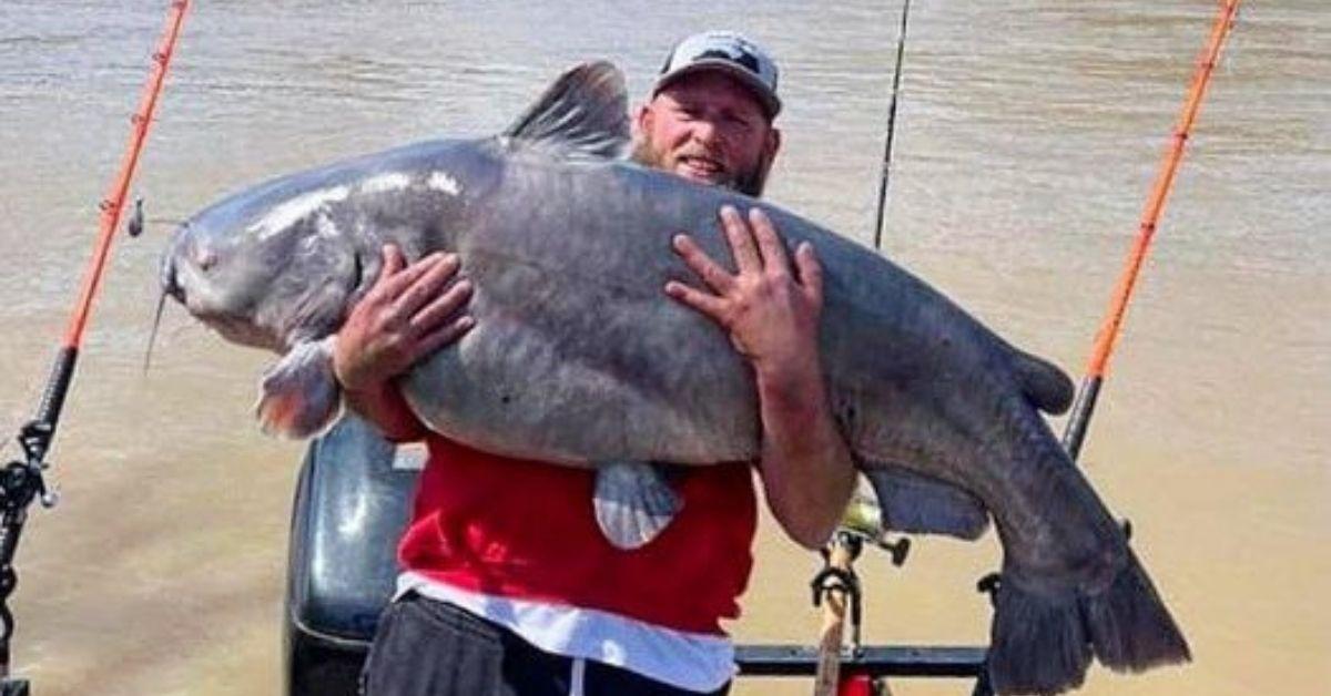 Kentucky Man Catches 95 Pound Catfish From The Ohio River