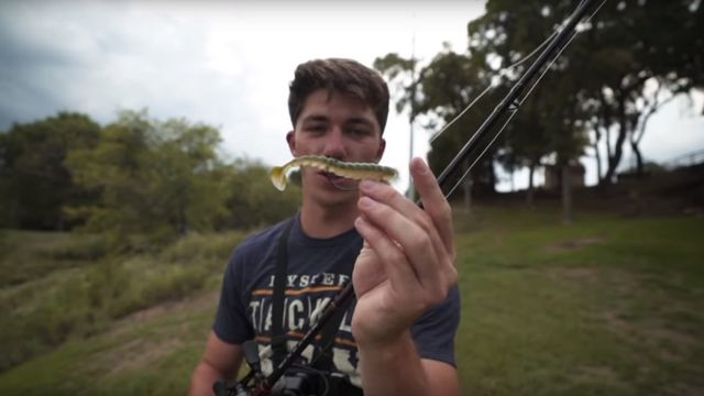 Bank Fishing 101: How To Catch Fish From The Bank