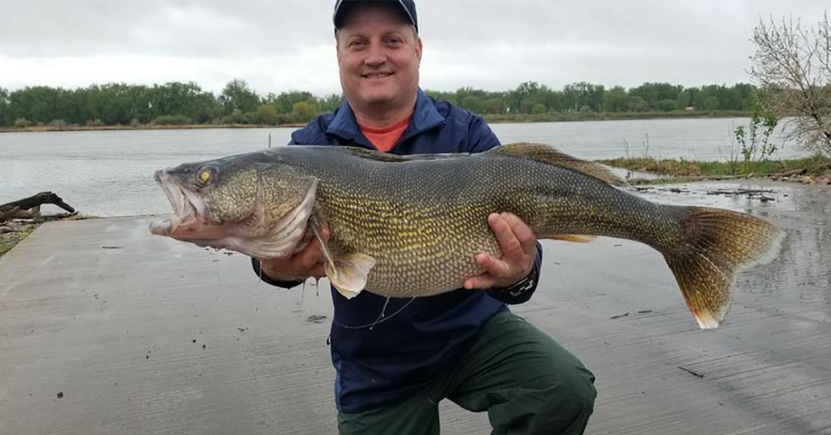 Monstrous Catch Breaks Longstanding North Dakota Walleye Record