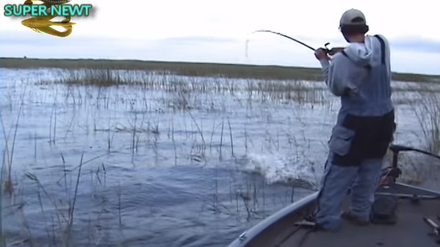 9 Topwater Strikes That Will Make Your Heart Race
