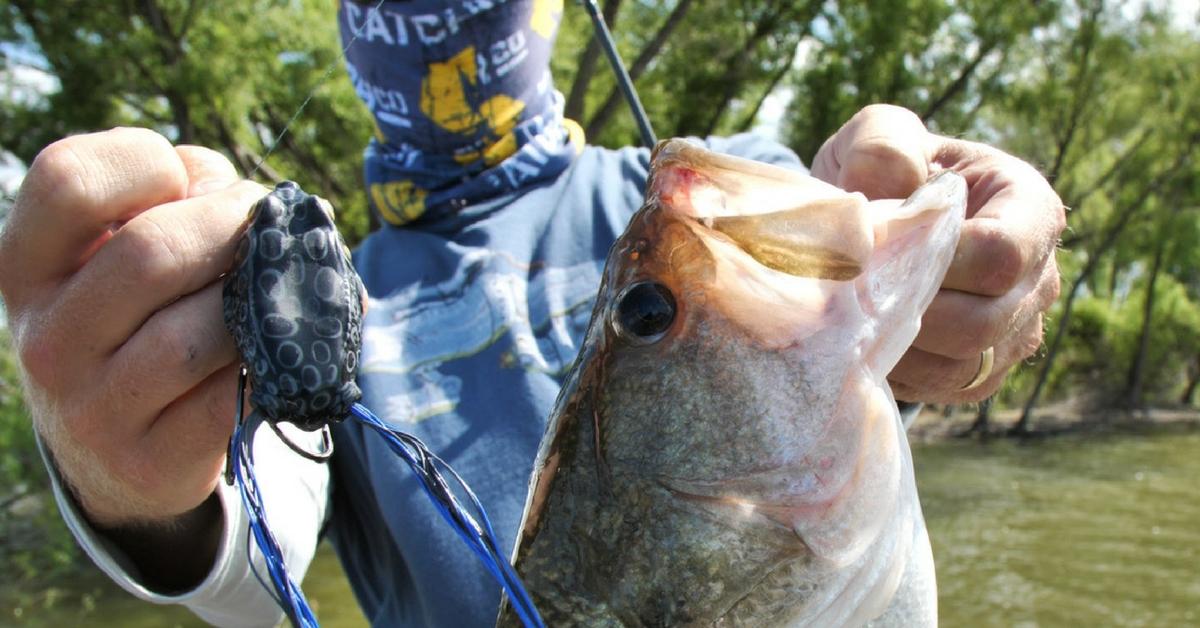 5 Frog Fishing Tips That Will Catch You More Bass
