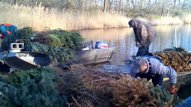 How The Army Uses Christmas Trees To Make Fishing Better