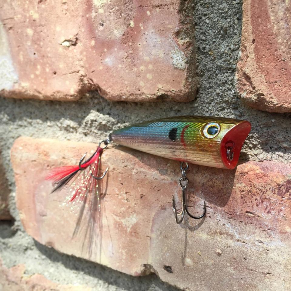 Topwater Fishing Breakdown How To Fish Each Style