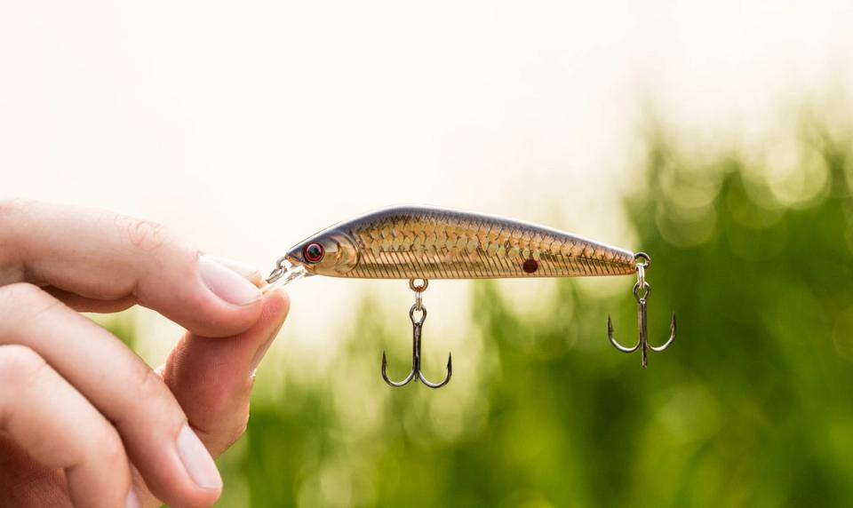 10 Bass Fishing Lures Every Angler Needs In Their Tackle Box
