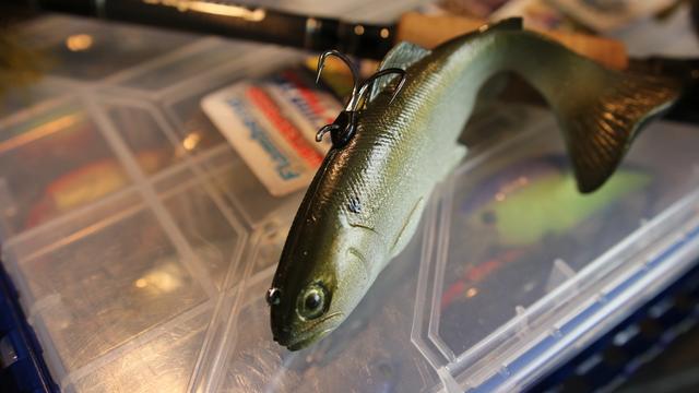 7 Bed Fishing Tehniques You Probably Haven't Tried