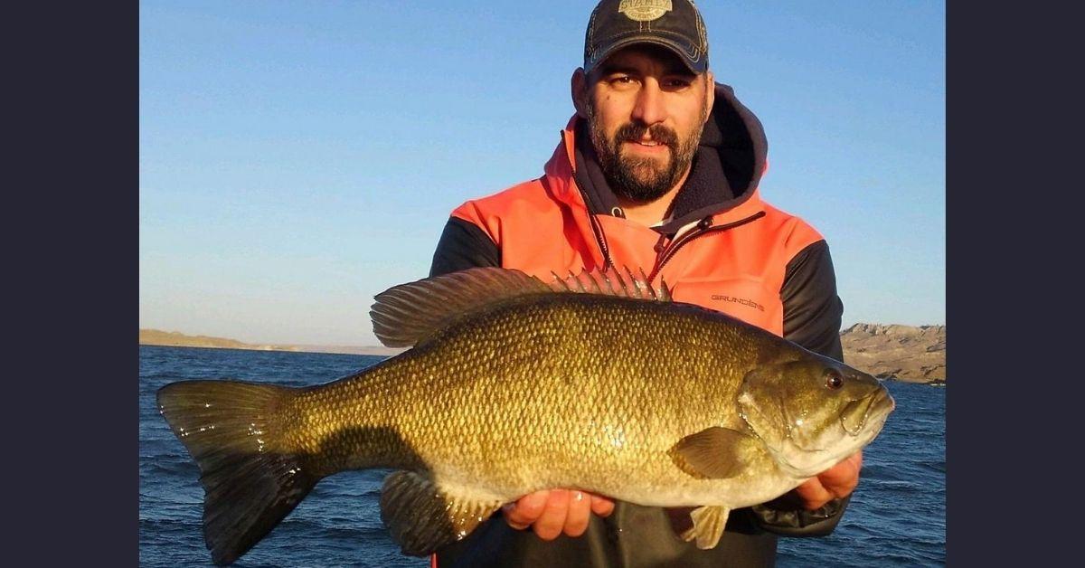 7.84 Pound Smallmouth Bass Sets A New Montana State Record