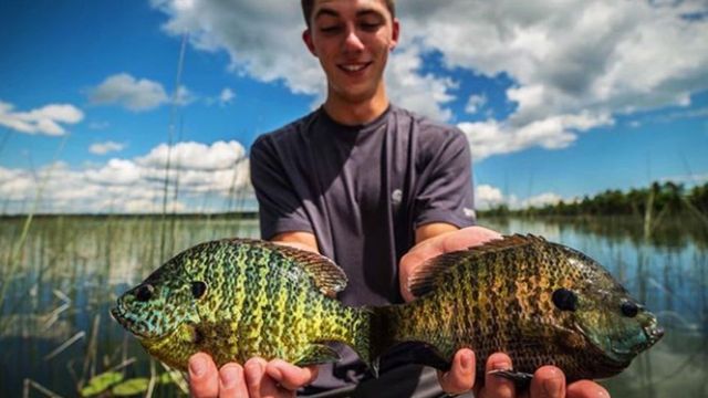 7 Panfish Lures You Can Rely On All Year