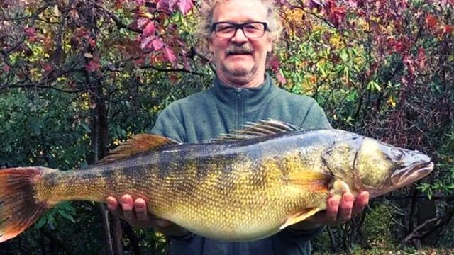 18.1 Pound Walleye Pummels Pennsylvania's 41-Year-Old State Record