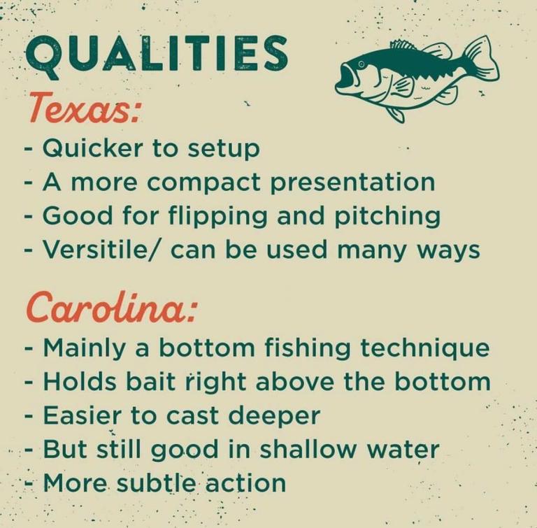 Know Your Fishing Rig: When To Throw A Carolina Rig Vs Texas Rig