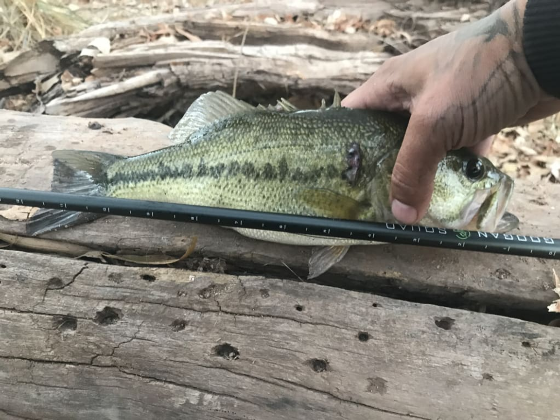 The Best Bass Casting Rod Under 100 One GoTo Pole That Can Do It All