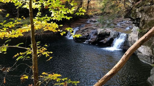 The 5 Best Places To Go Fishing In West Virginia