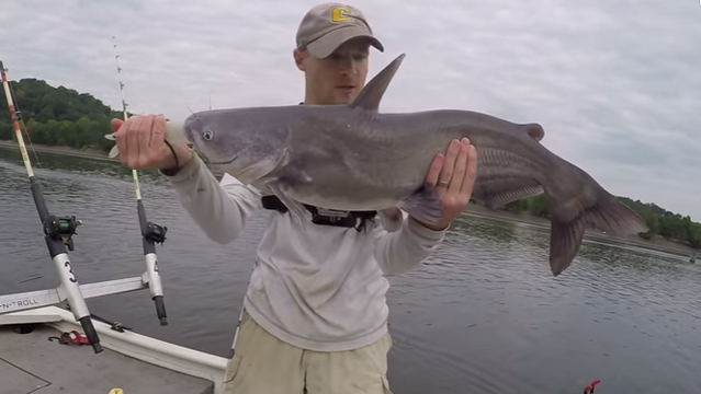 How To Find And Catch Catfish In Rivers