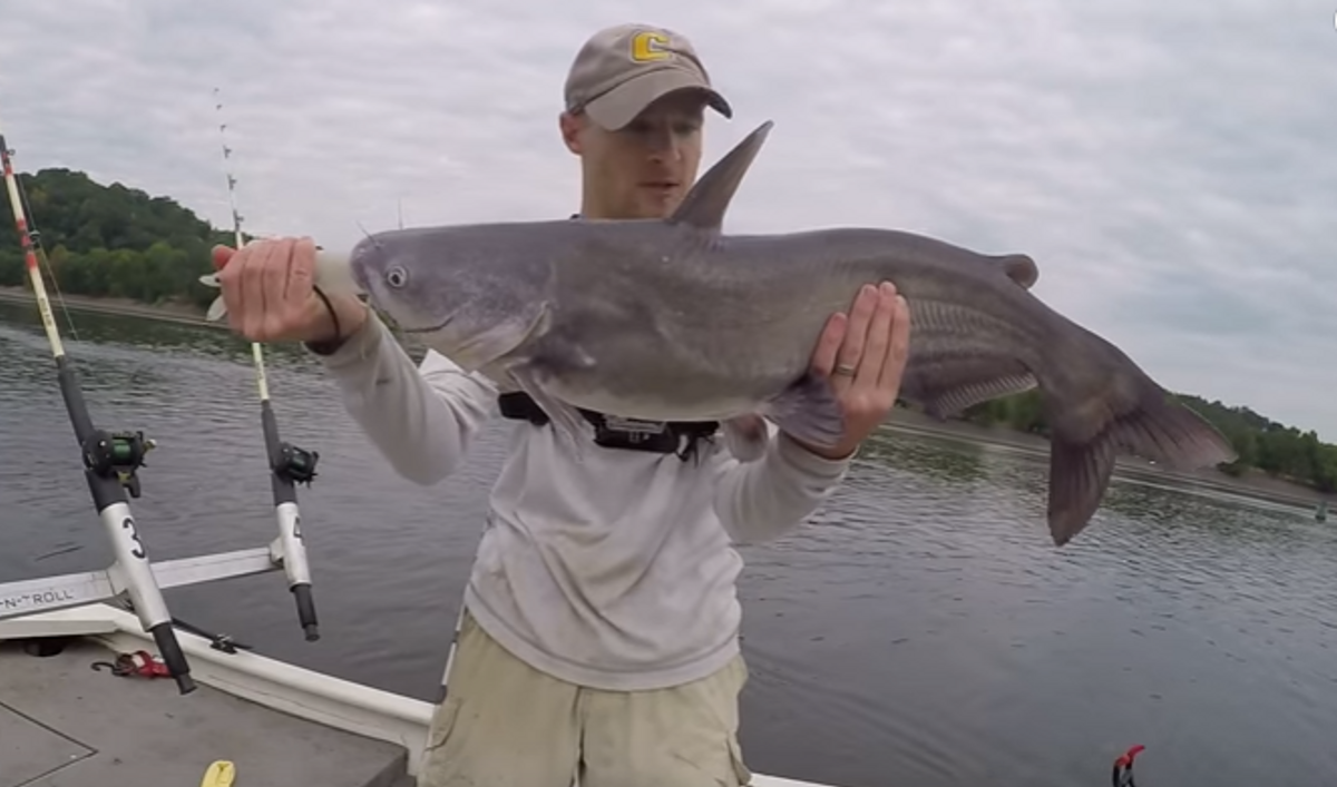 How To Find And Catch Catfish In Rivers