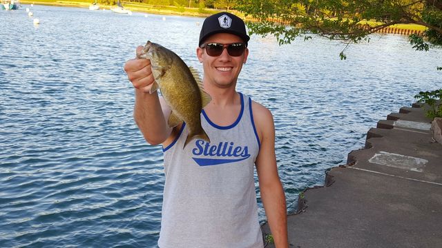 5 Summertime Baits To Catch You All The Bass
