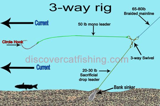 flathead catfish rigs