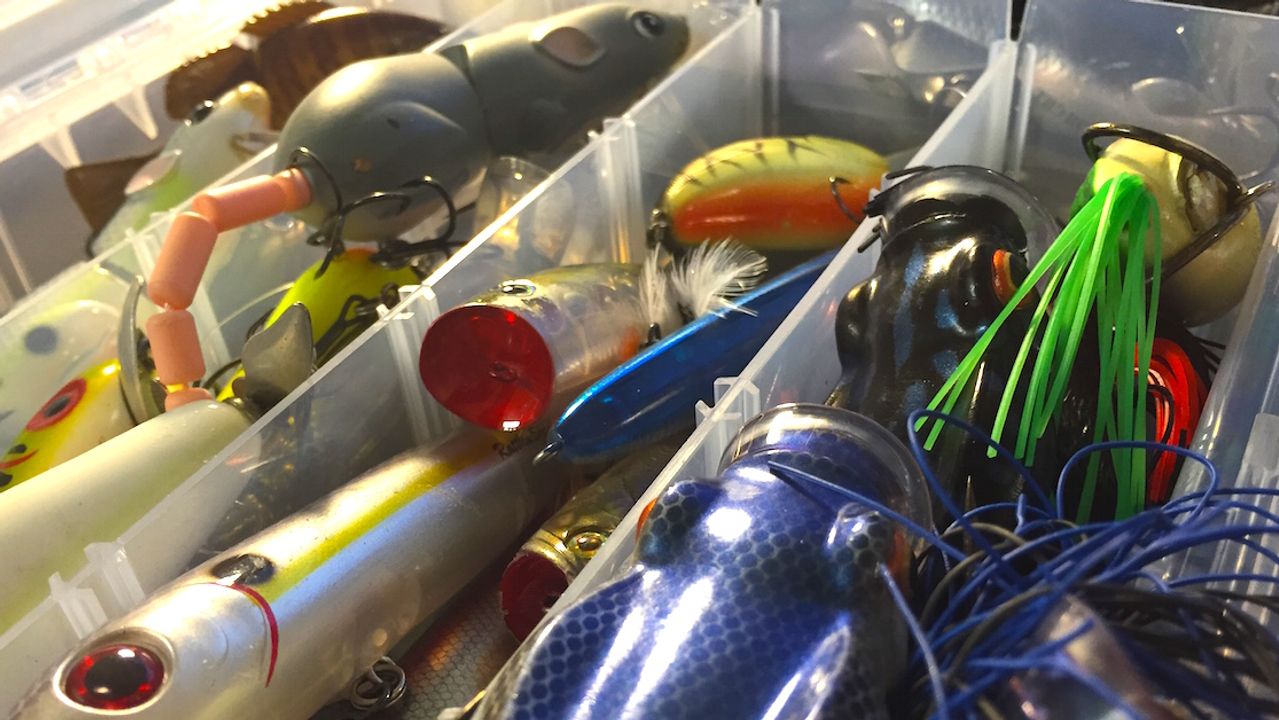7 Bass Lures That You Can Rely On Year Round