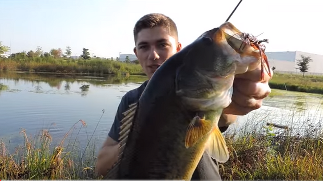 7 Tips For Digging Bass Out Of The Grass