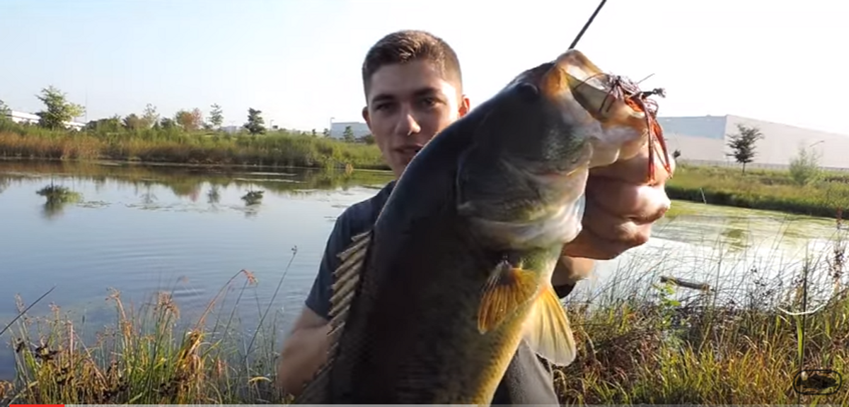 7 Tips For Digging Bass Out Of The Grass