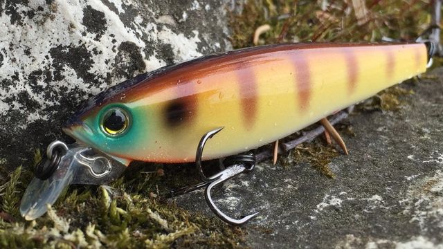 The 5 Best Ways To Fish A Hard Bodied Jerkbait
