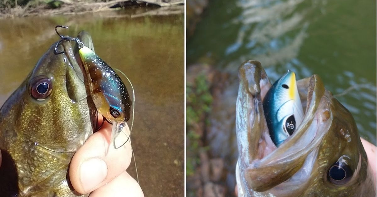 Big bass attack crawfish crankbait