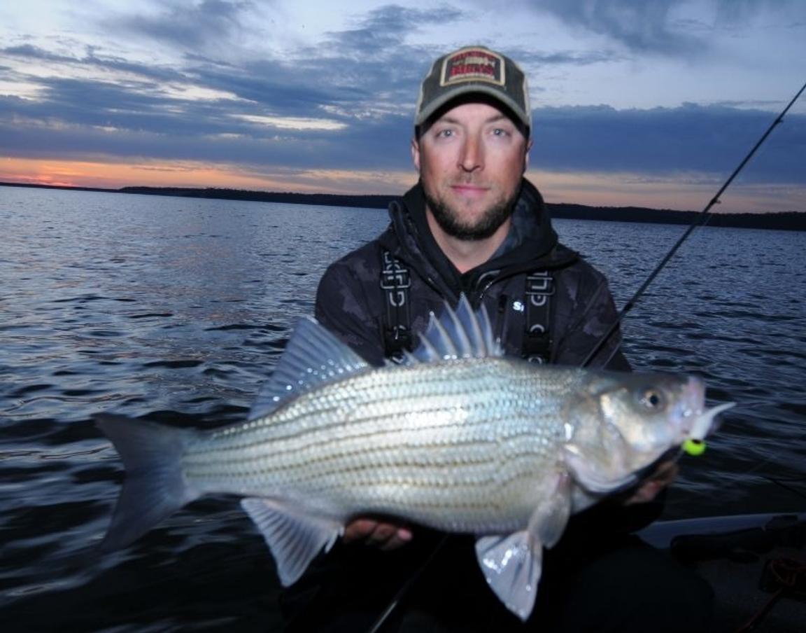 Fishing Guide Explains How To Catch Hybrid Striped Bass (Wipers)