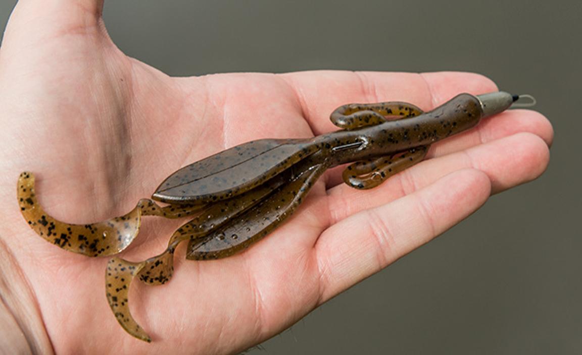 Creature Baits 101 How To Fish Creatures, Craws, And Bugs