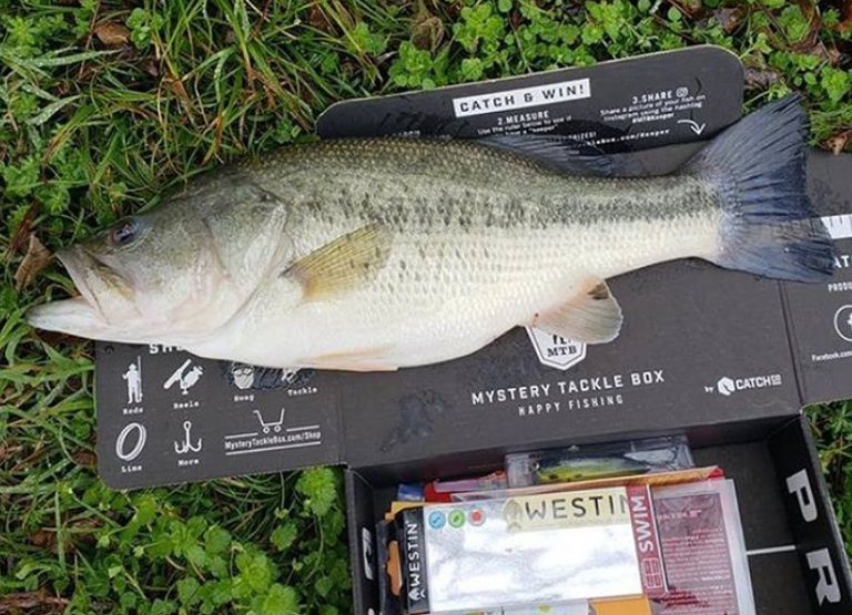 Bass Fishing After The Rain How To Target Post Frontal Bass