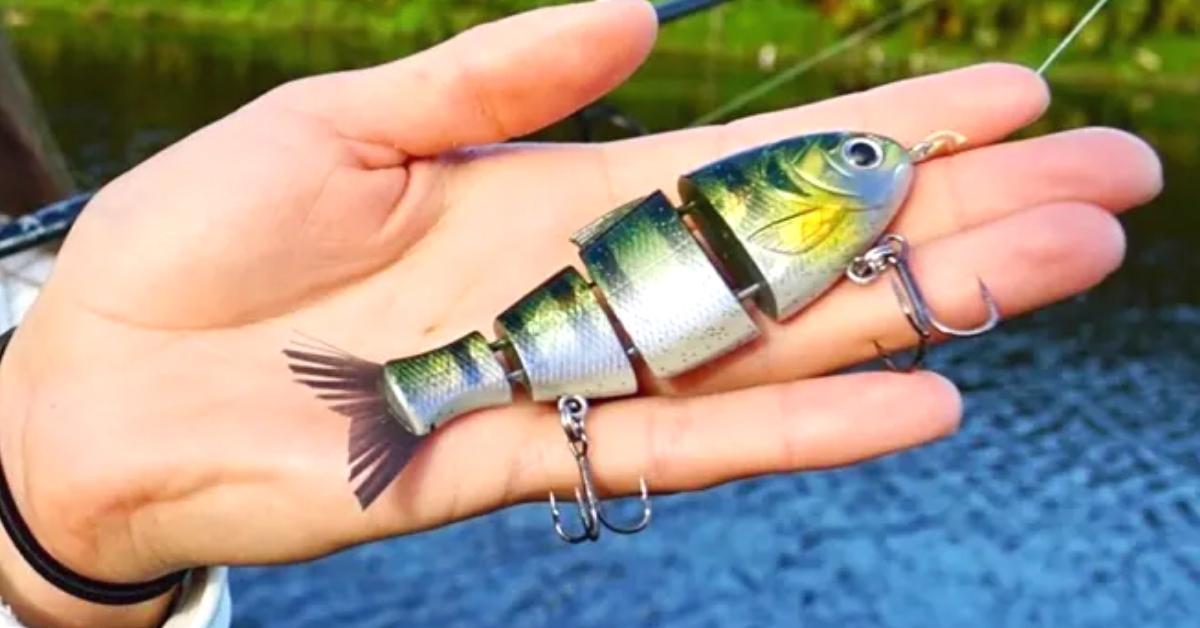 The Baby Bull Shad From Mike Bucca And The Catch Co.